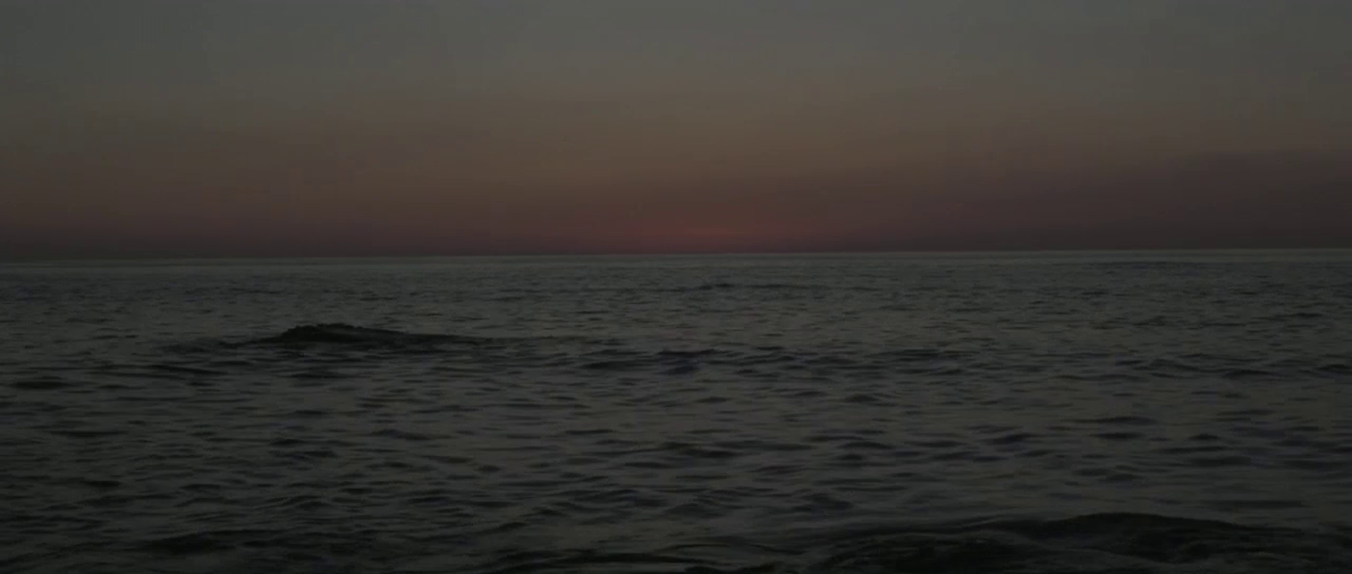 Still The Water