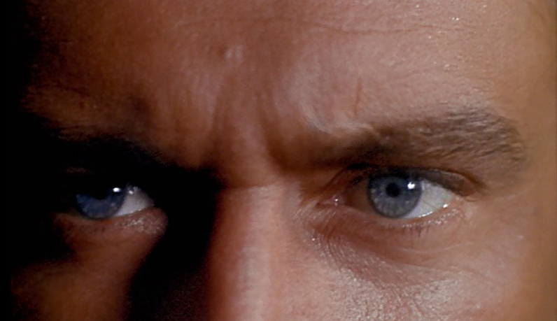 Purple Noon