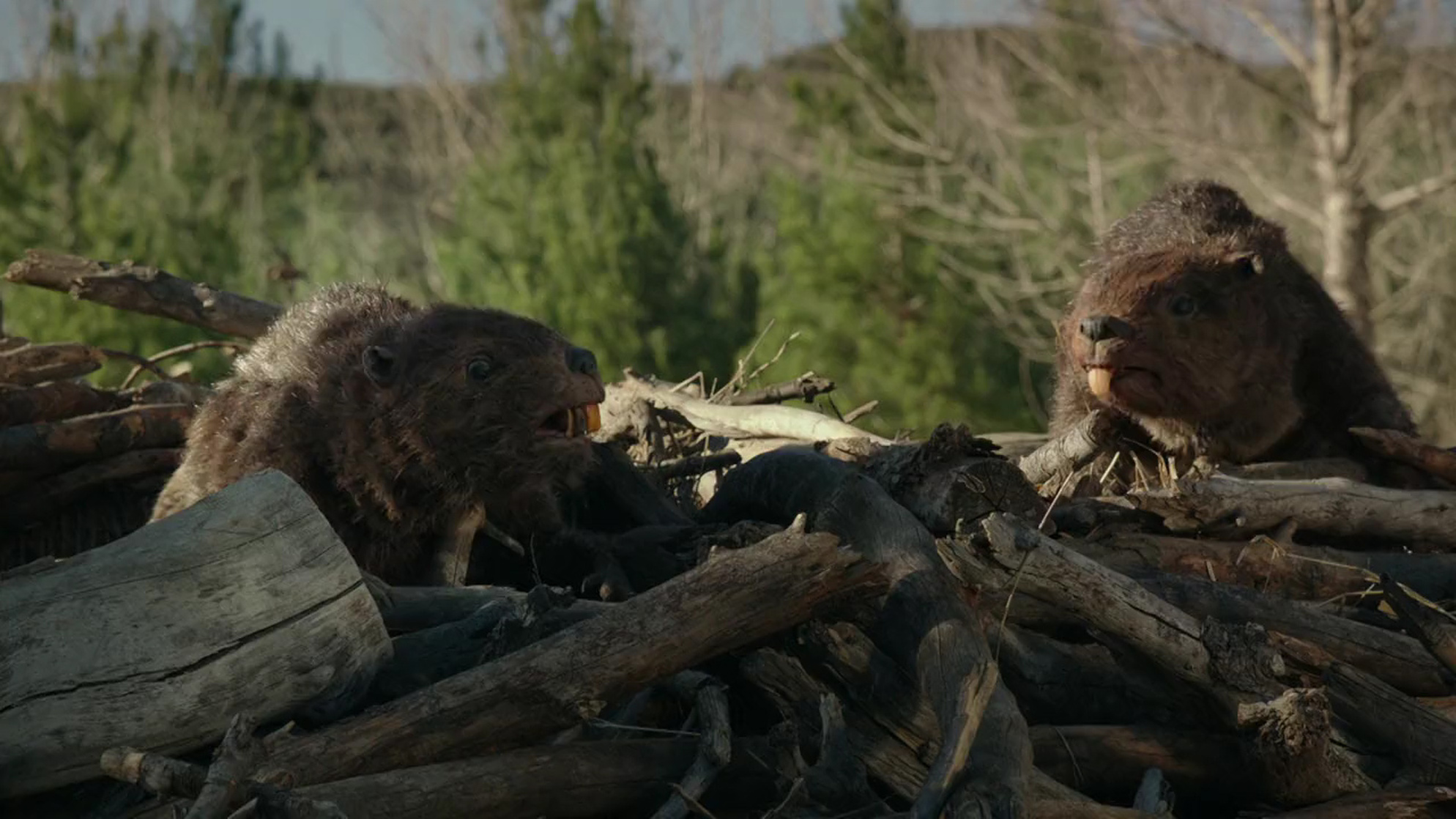 Zombeavers image