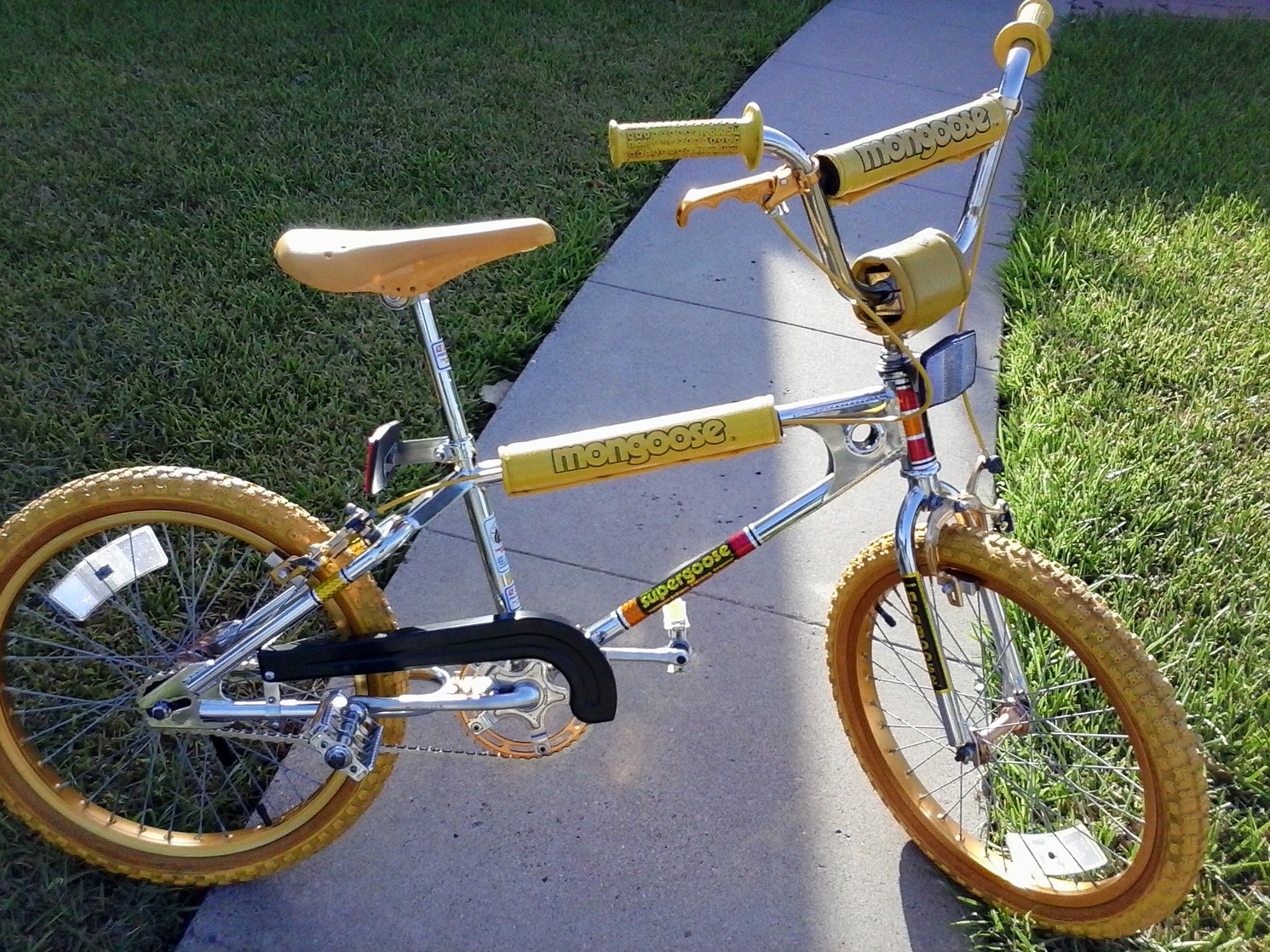 forgotten bmx