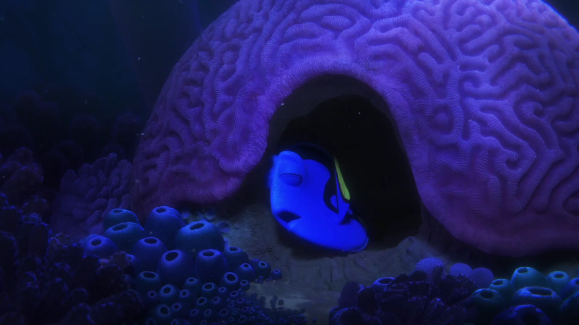 Finding Dory