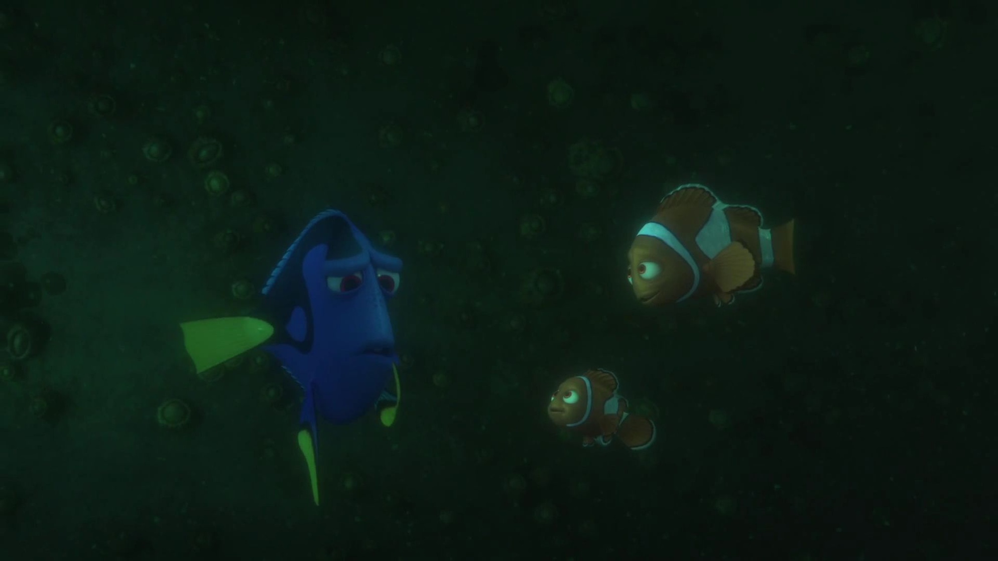 Finding Dory