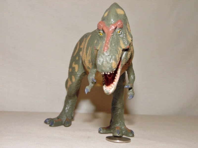 Tyrannosaurus Rex