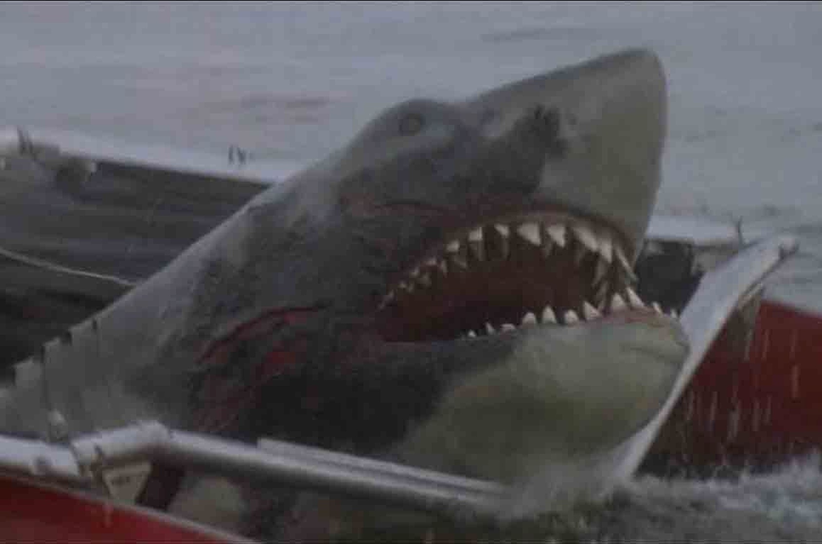 Jaws 2