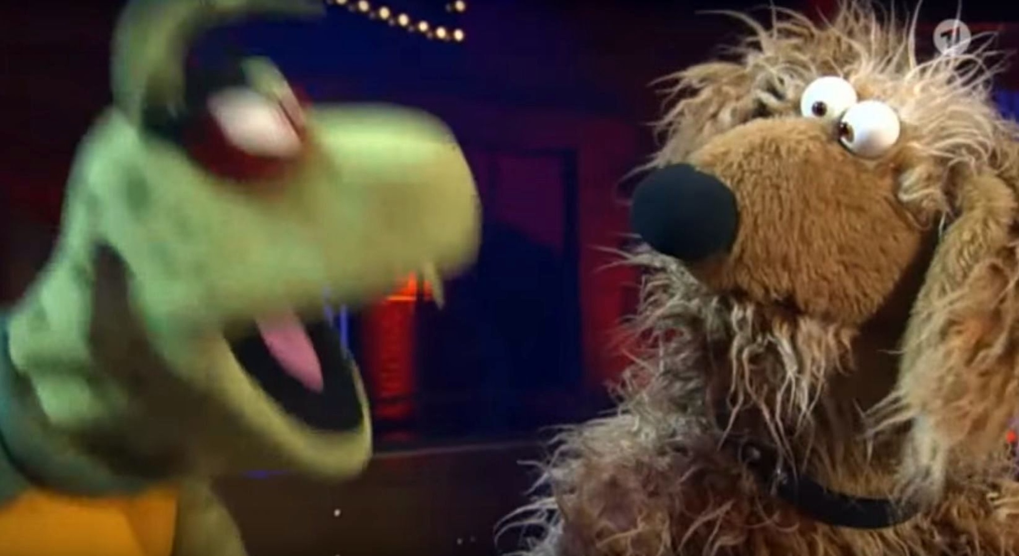 Die Wiwaldi Show