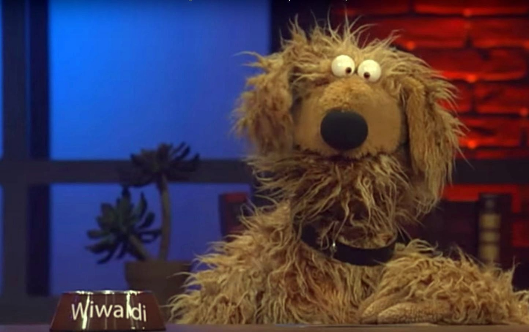 Die Wiwaldi Show