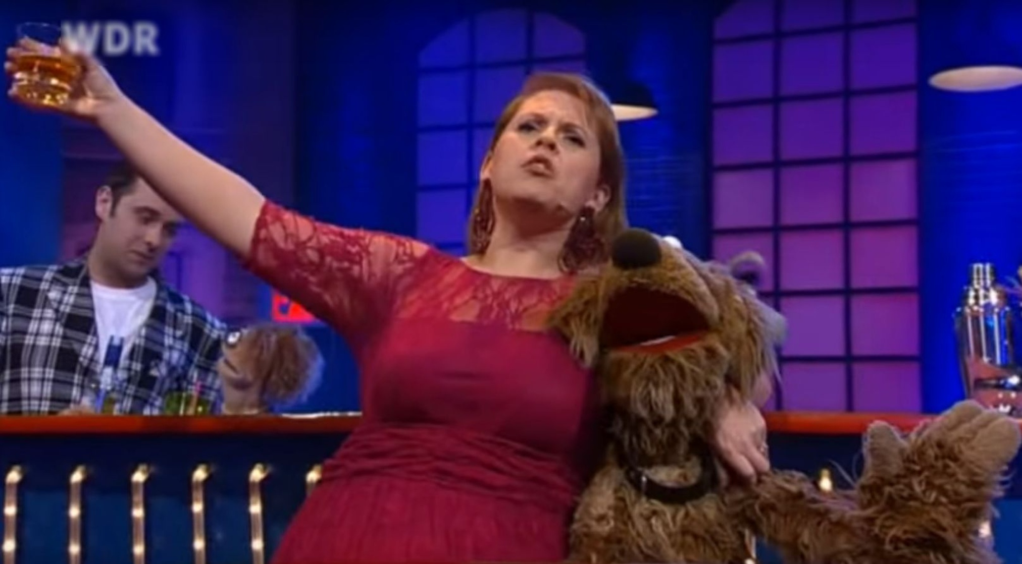 Die Wiwaldi Show