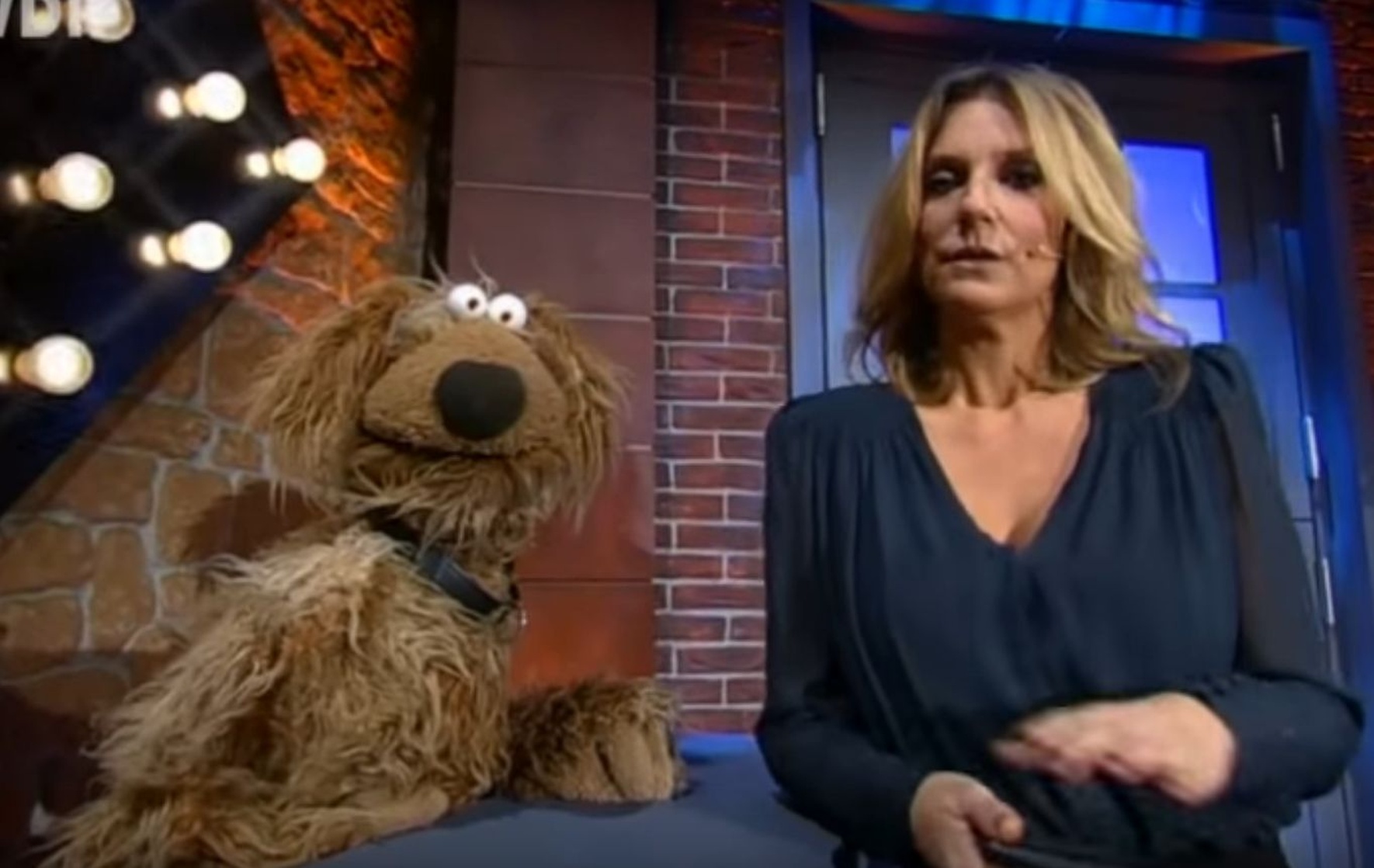 Die Wiwaldi Show