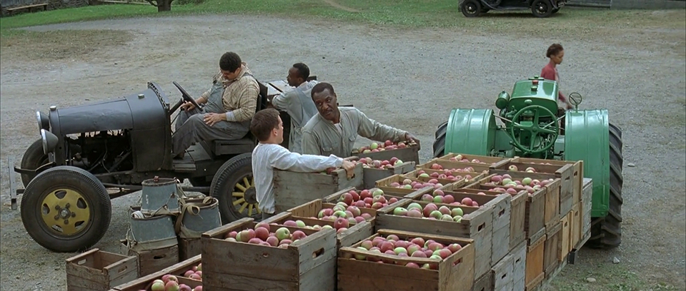 The Cider House Rules The Cider House Rules