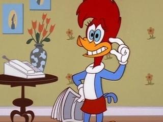 winnie woodpecker