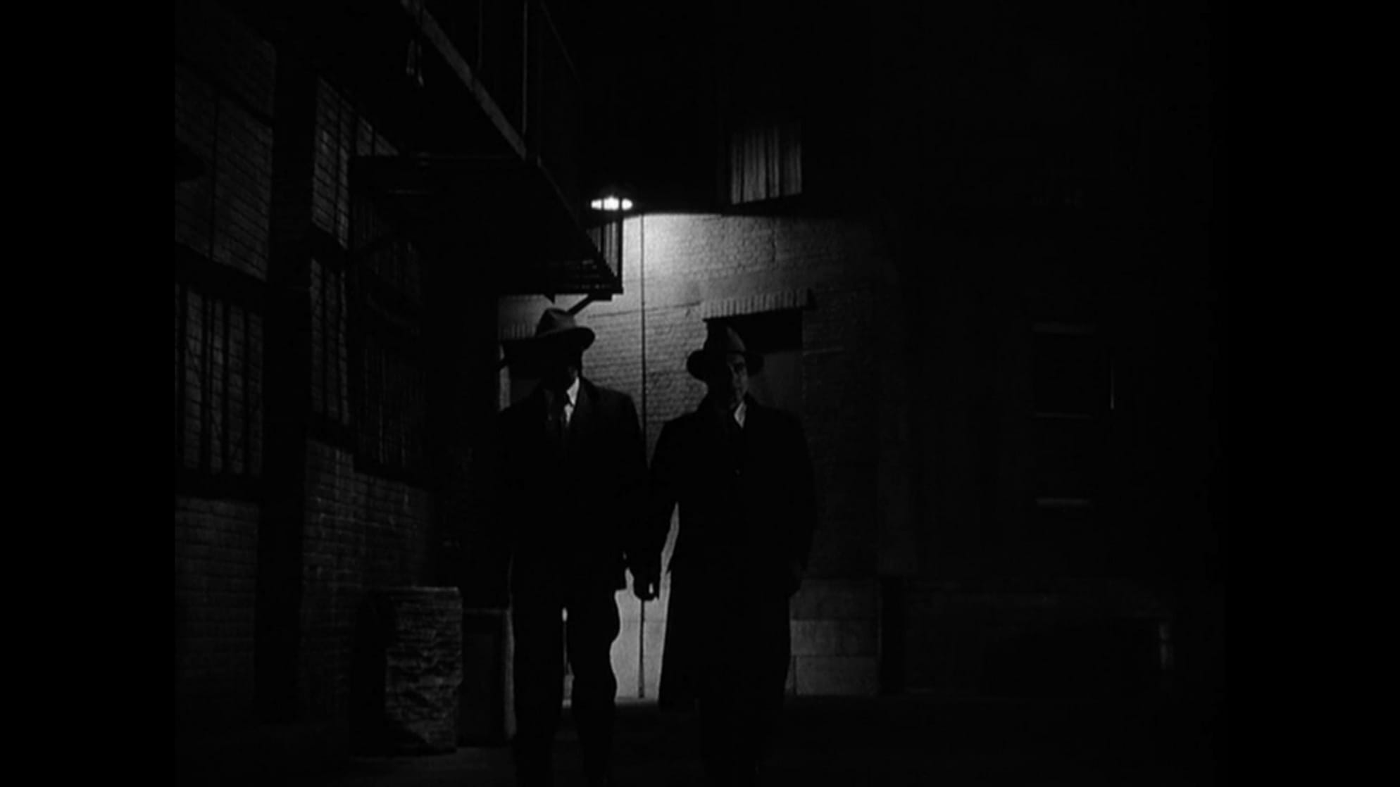 The Asphalt Jungle