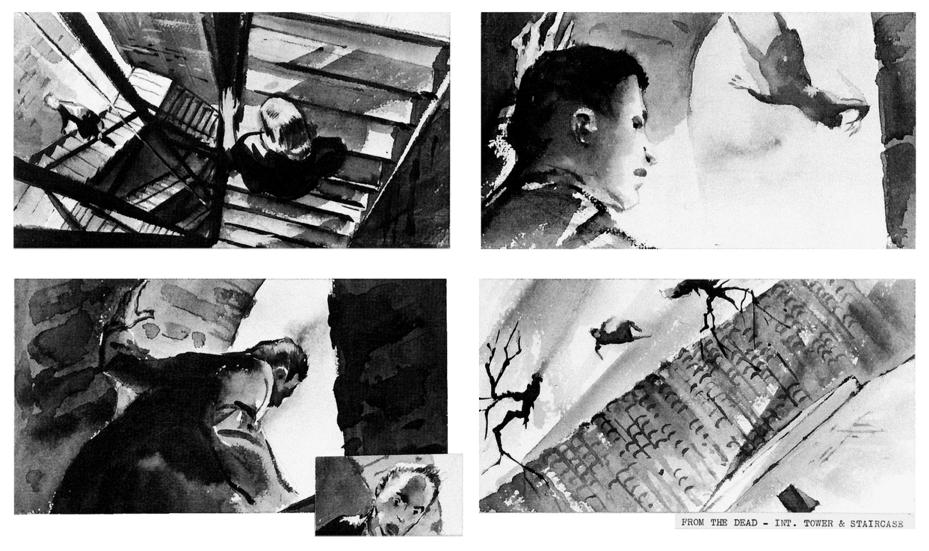 Vertigo Vertigo