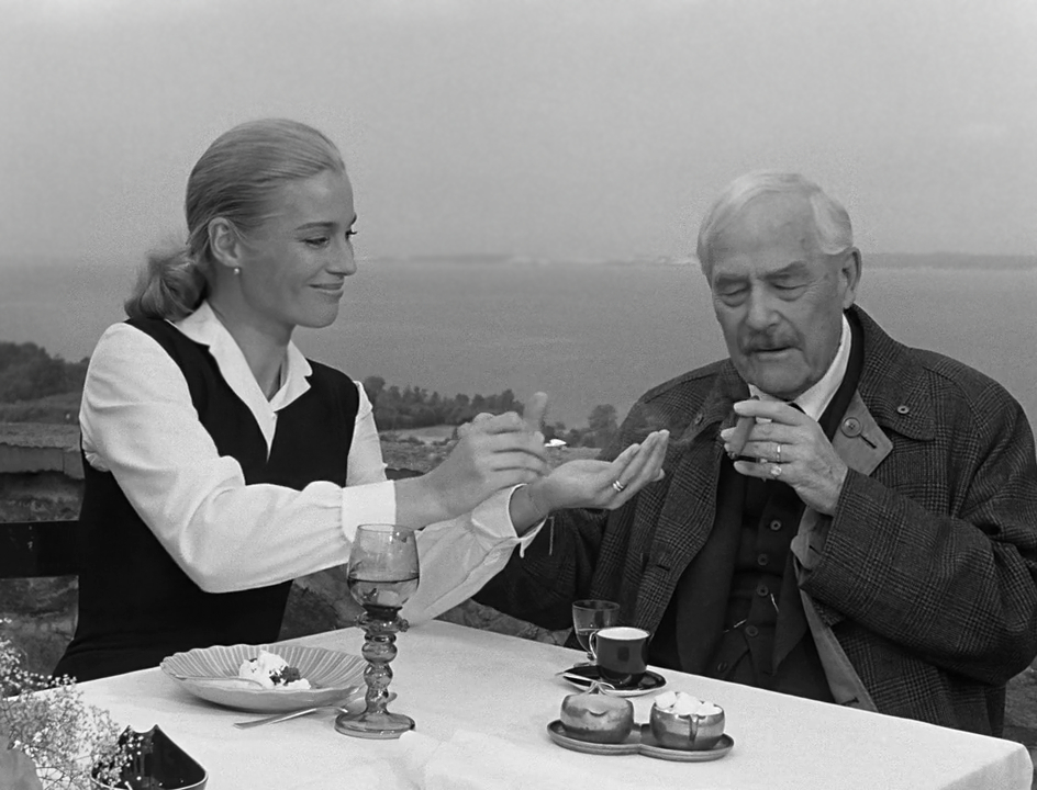 Wild Strawberries Wild Strawberries