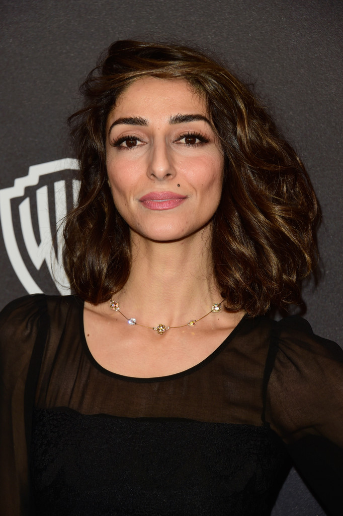 Picture of Necar Zadegan