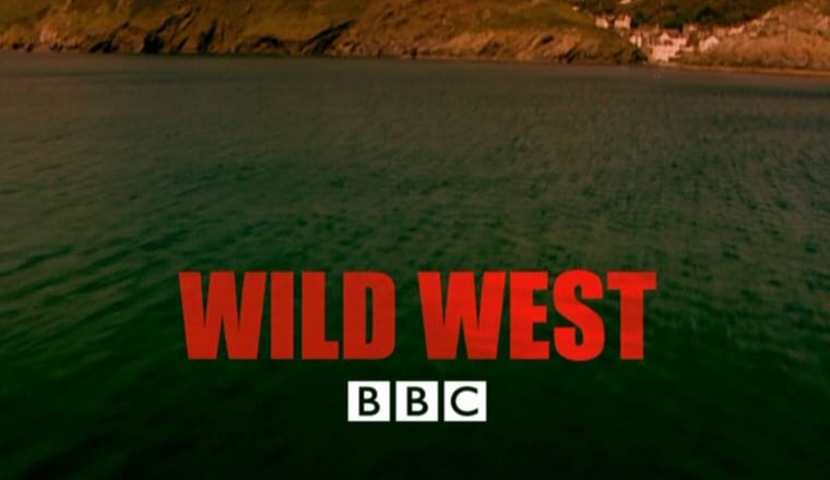 Wild West Wild West