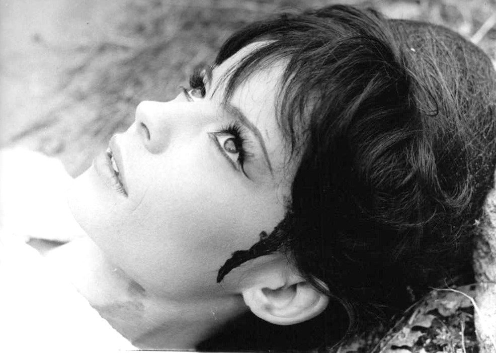 Pascale Petit