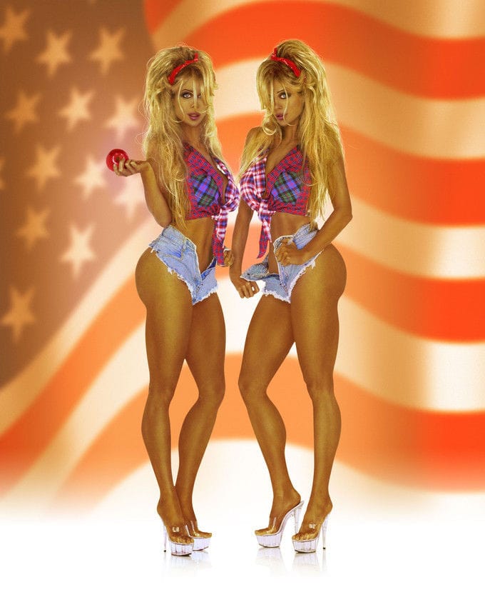 Picture of Barbi Twins.