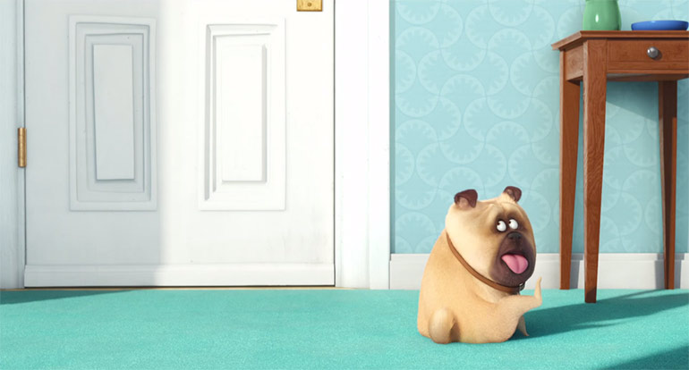 The Secret Life of Pets The Secret Life of Pets