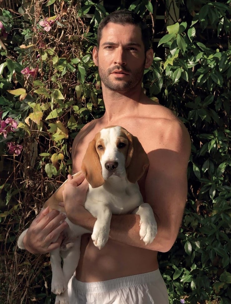 Picture Of Tom Ellis