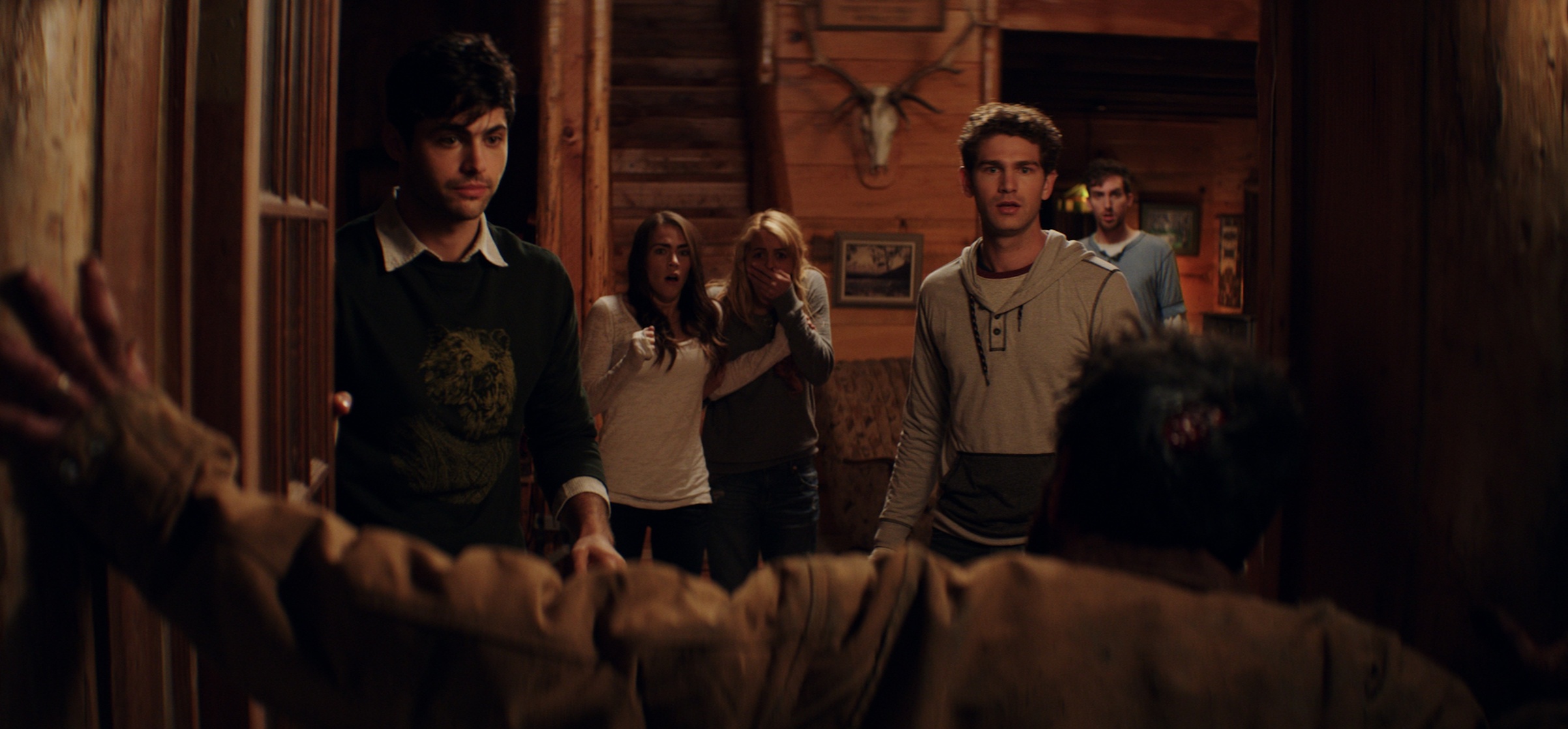 Cabin Fever                                  (2016)