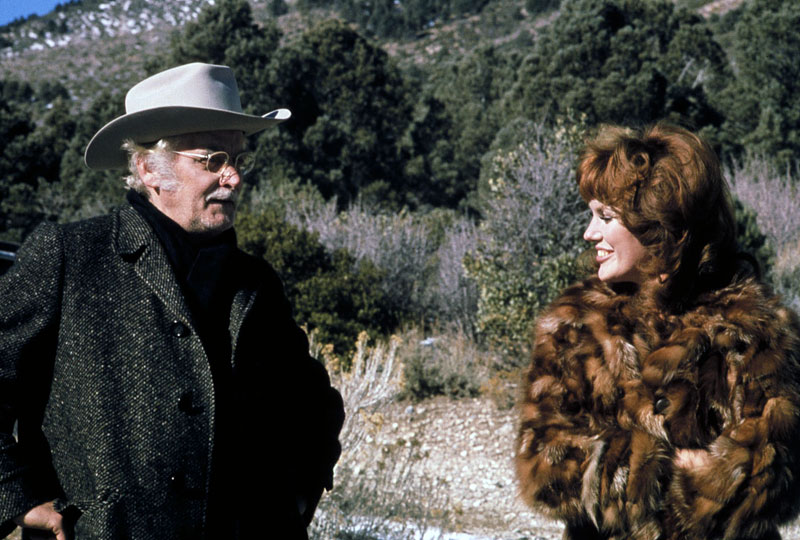 Harry and Tonto (1974)