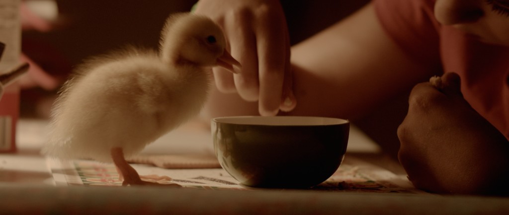 Birds of Passage Birds of Passage