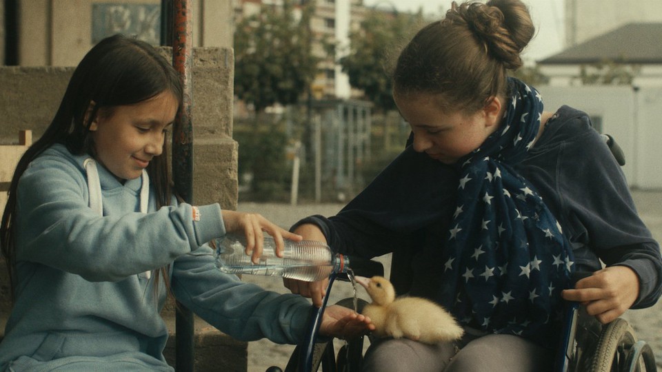 Birds of Passage Birds of Passage
