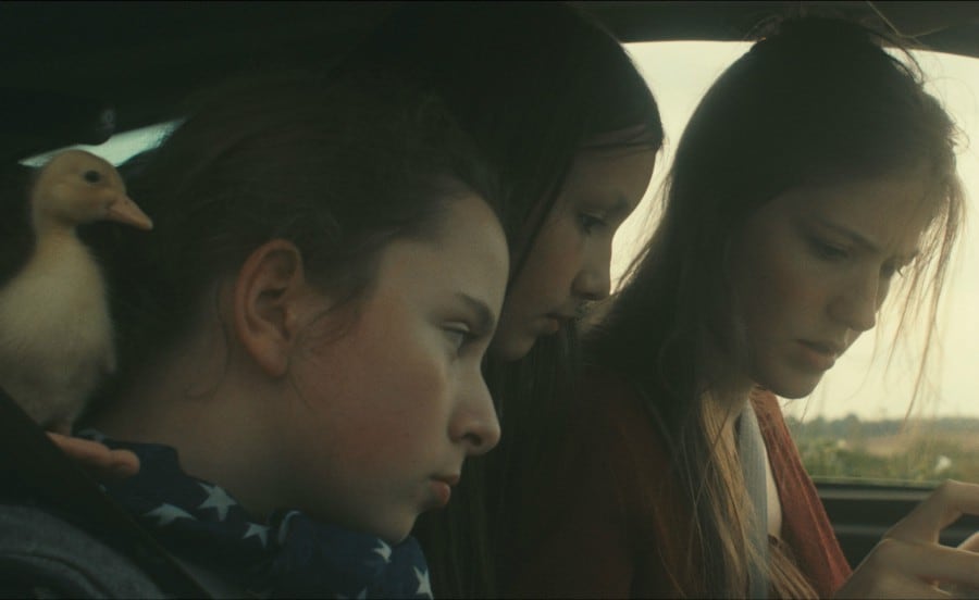 Birds of Passage Birds of Passage