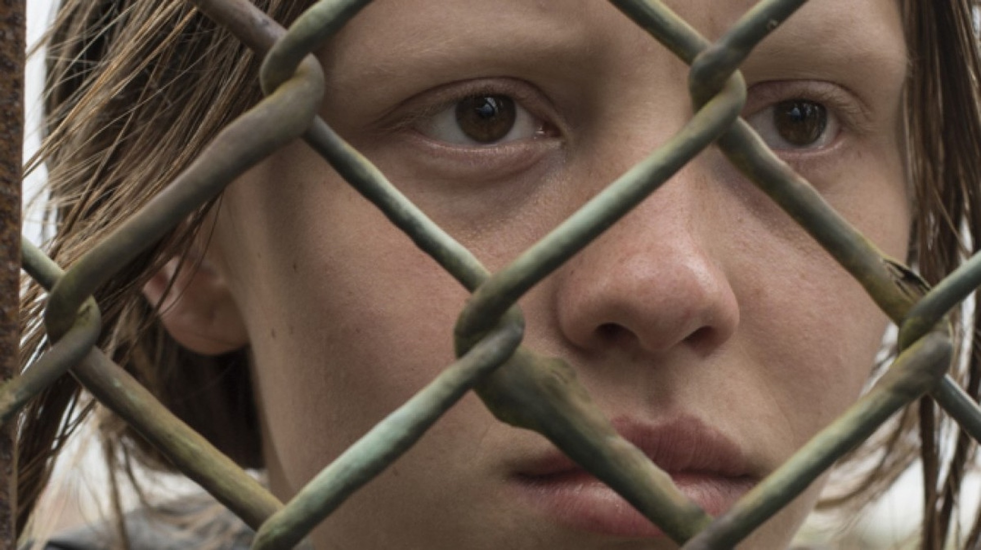 The Survivalist