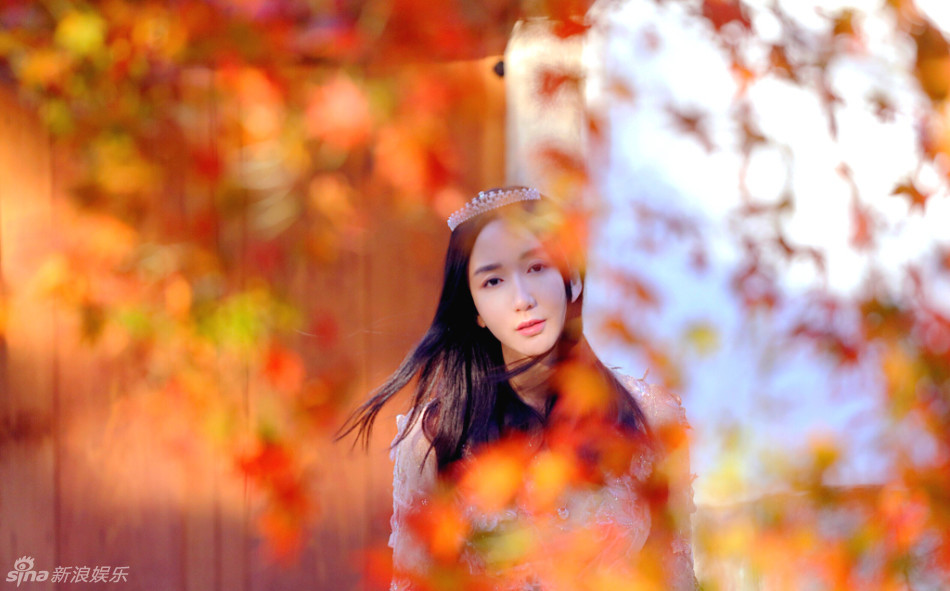 Yi-xiao Lou