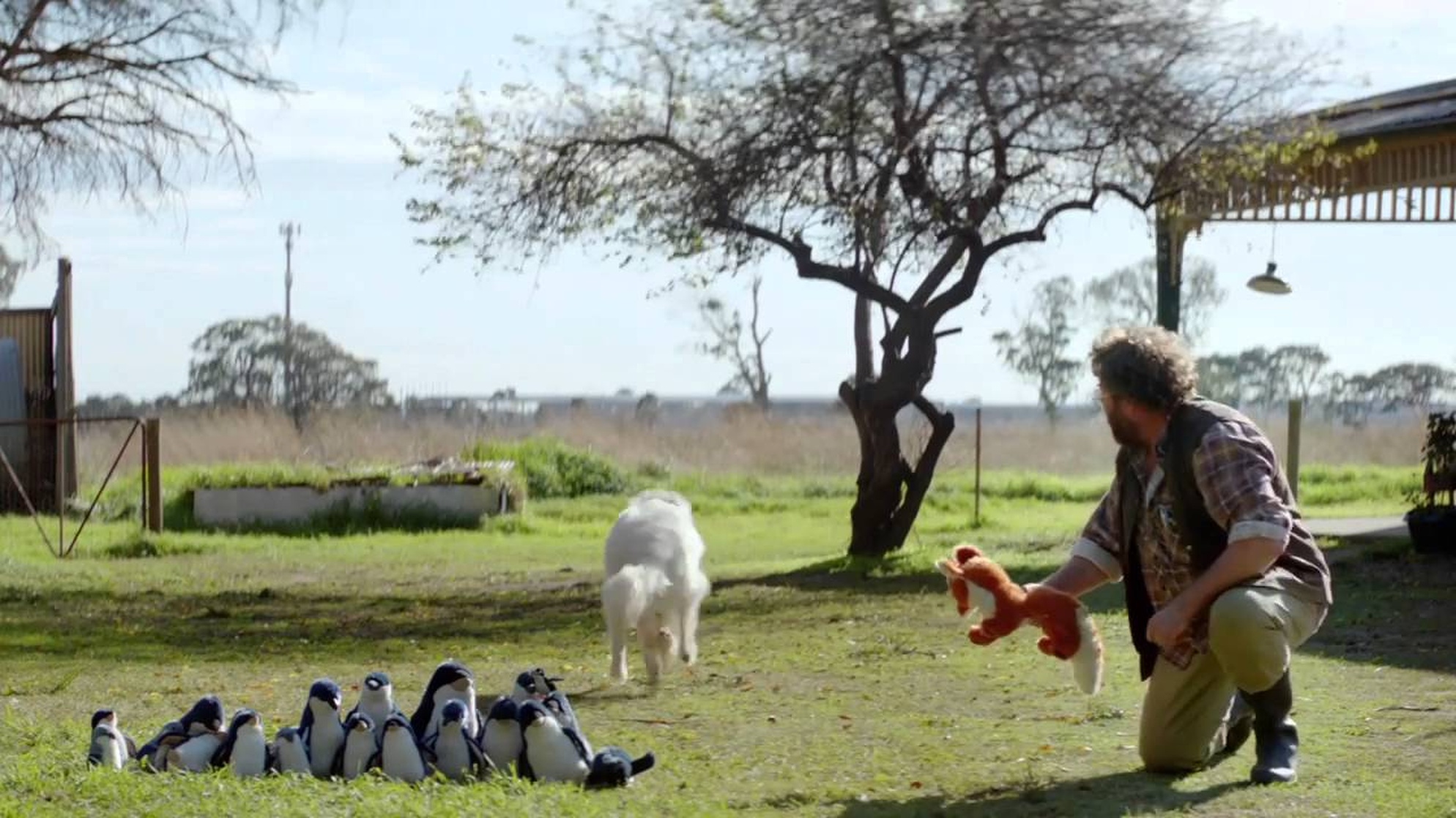 Oddball and the Penguins 