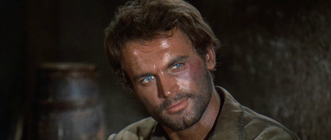 Terence Hill