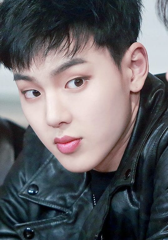 Picture of Shownu (MONSTA X)