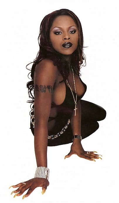 Picture of Foxy Brown.