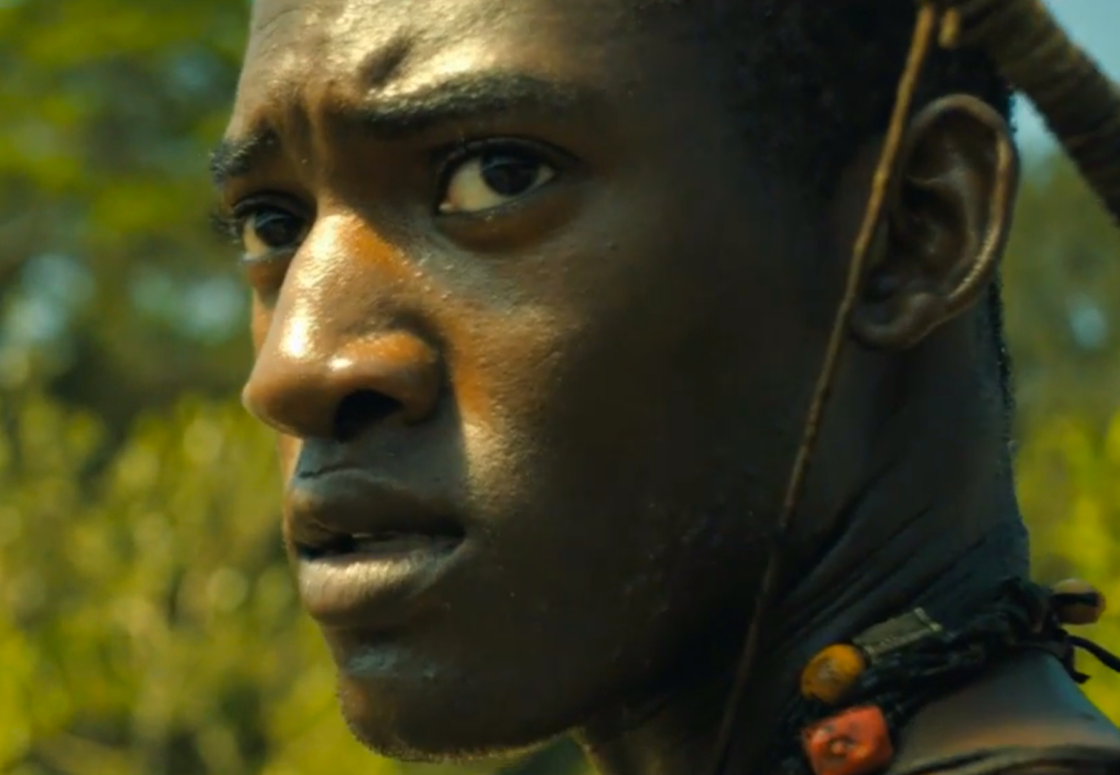 Roots (2016)