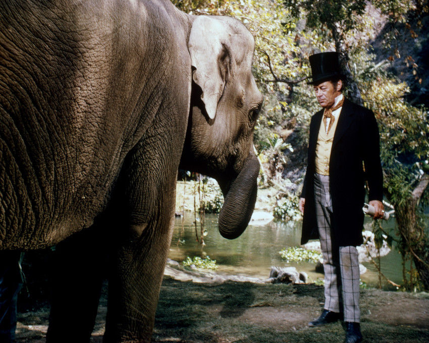 Doctor Dolittle Doctor Dolittle