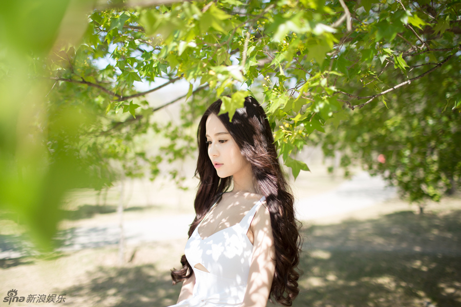 Swan Wen Swan Wen