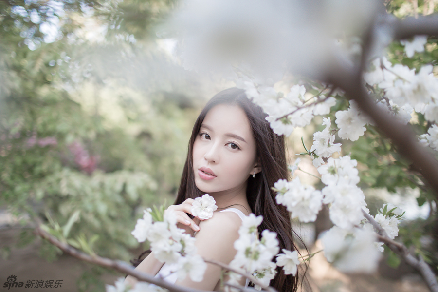 Swan Wen Swan Wen