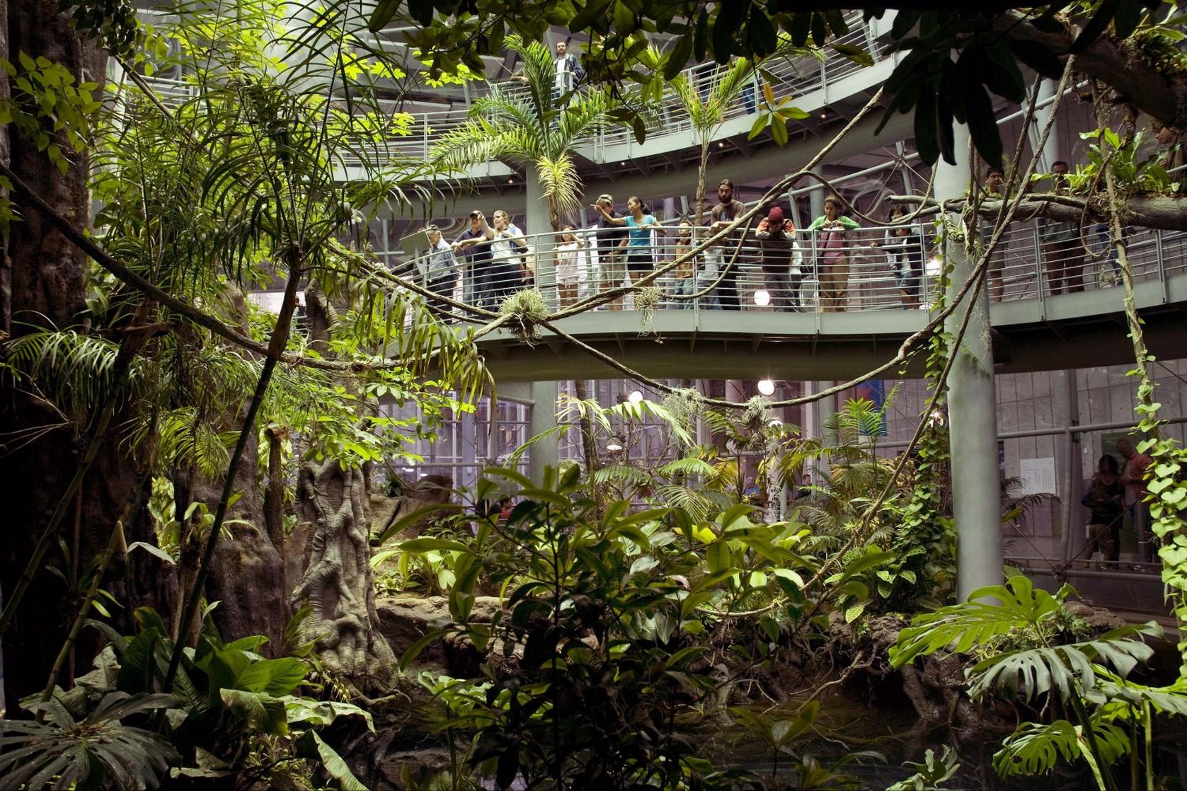 California Academy of Sciences
