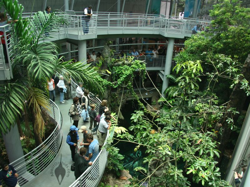 California Academy of Sciences
